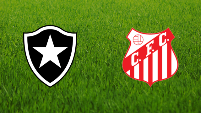 Botafogo FR vs. Capivariano FC