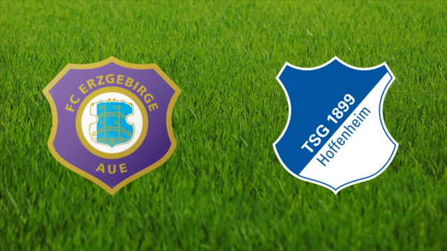 Erzgebirge Aue vs. TSG Hoffenheim Erzgebirge Aue vs. TSG Hoffenheim