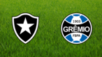 Botafogo FR vs. Grêmio FBPA