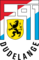 F91 Dudelange