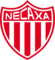 Club Necaxa